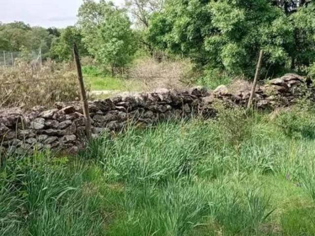 Terreno en venta en La Acebeda, Madrid