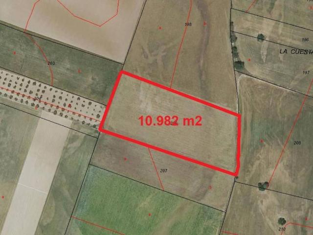 Terreno en venta en La Alberca De Záncara, Castilla-La Mancha