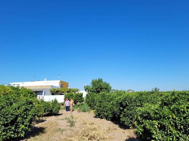 Terreno en venta en La Algaba