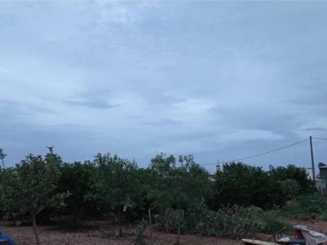Terreno en venta en La Algaba