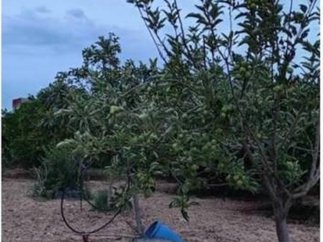 Terreno en venta en La Algaba, Andalucía