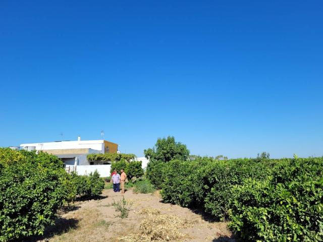 Terreno en venta en La Algaba, El Aral