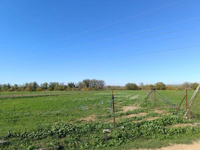 Terreno en venta en La Algaba, Andalucía