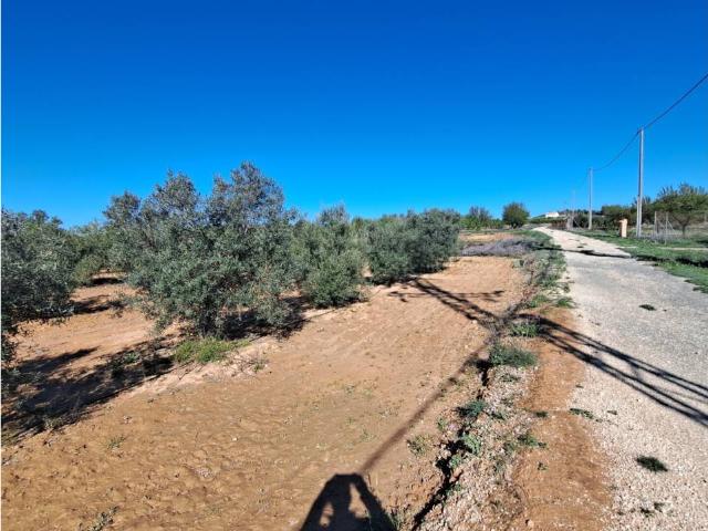 Terreno en venta en Valle de Ricote, Murcia