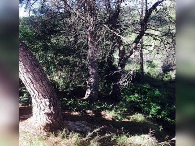 Terreno en venta en Baix Penedès, Catalunya
