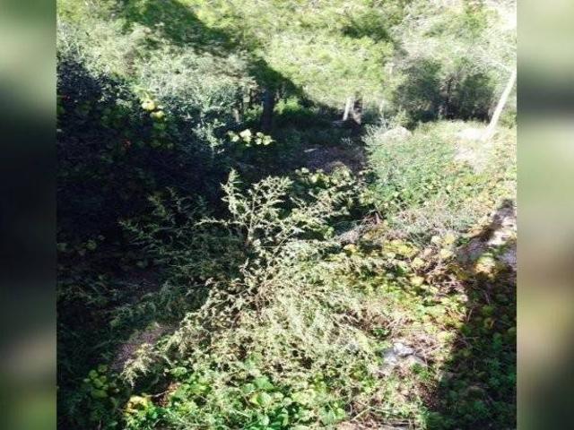Terreno en venta en Baix Penedès, Catalunya