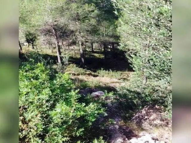 Terreno en venta en Baix Penedès, Catalunya