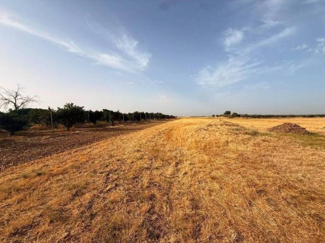 Terreno en venta en La Carlota, Andalucía