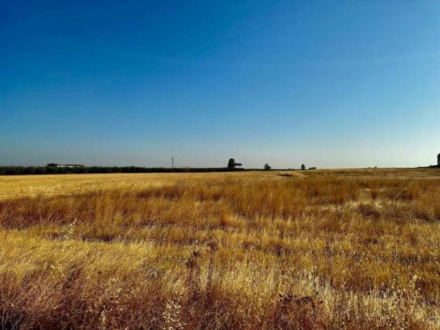 Terreno en venta en La Carlota, Andalucía