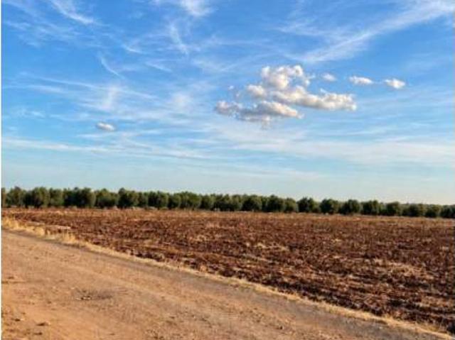 Terreno en venta en La Carlota, Córdoba
