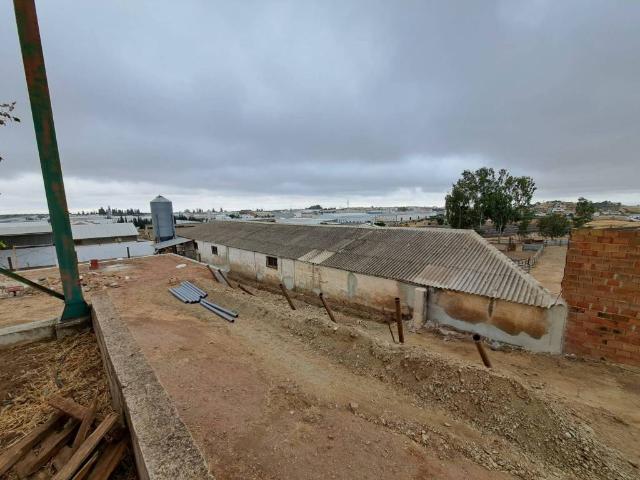 Terreno en venta en La Carolina, Andalucía