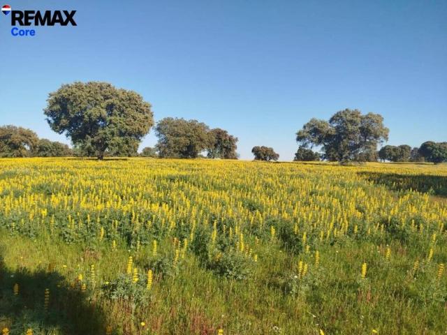 Terreno en venta en Tierra de Badajoz, Extremadura