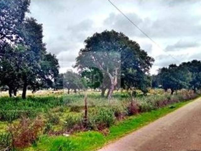 Terreno en venta en Tierra de Badajoz, Extremadura