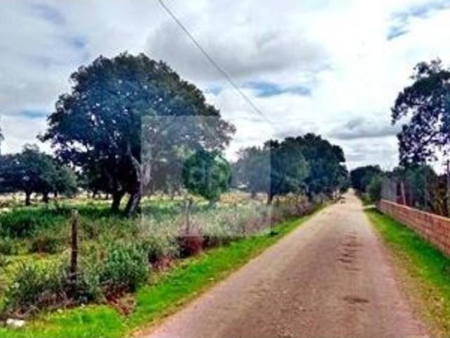 Terreno en venta en Tierra de Badajoz, Extremadura