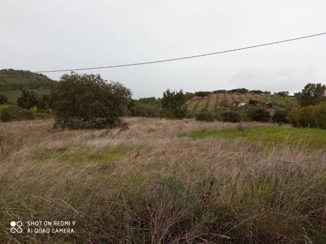 Terreno en venta en La Codosera