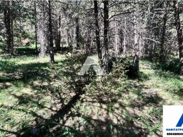 Terreno en venta en Solsonès, Catalunya