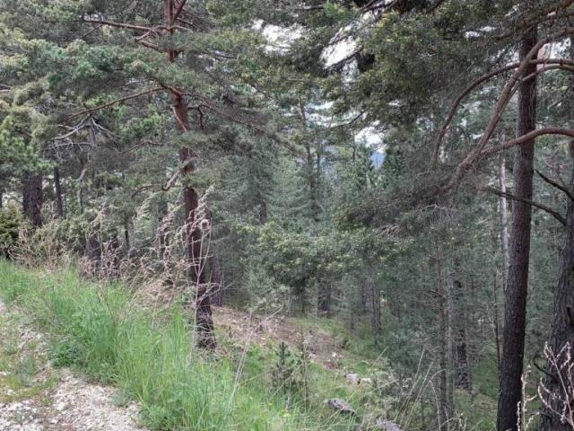 Terreno en venta en Solsonès, Catalunya