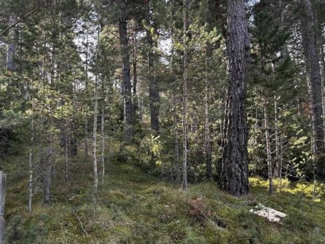 Terreno en venta en Solsonès, Catalunya