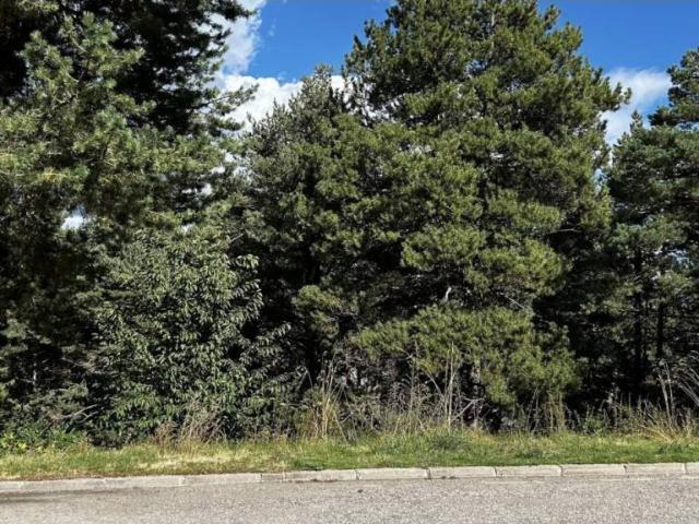 Terreno en venta en Solsonès, Catalunya
