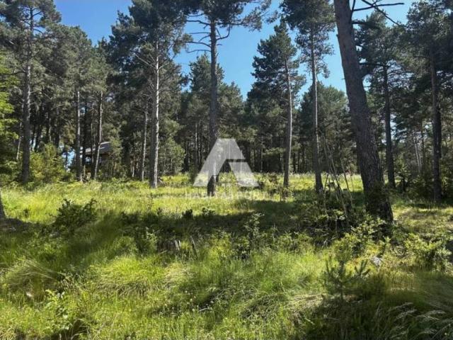 Terreno en venta en Solsonès, Catalunya