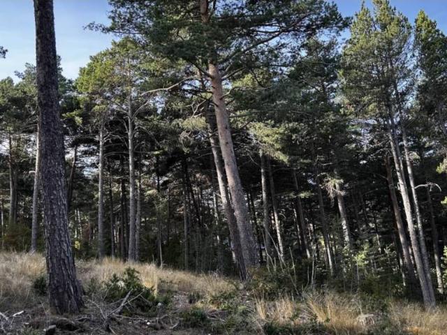 Terreno en venta en Solsonès, Catalunya