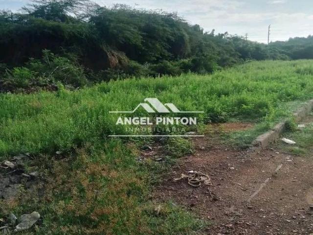 Terreno en venta en Jesús Enrique Lossada, Zulia