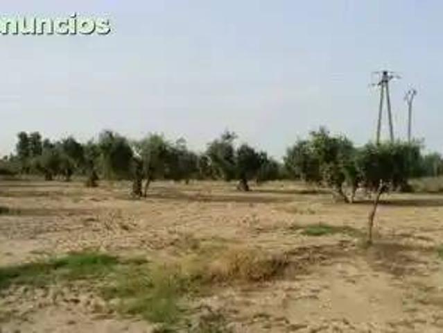 Terreno en venta en La Coronada, Extremadura