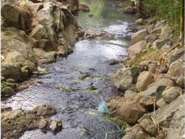 Terreno en venta en Acayucan, Veracruz