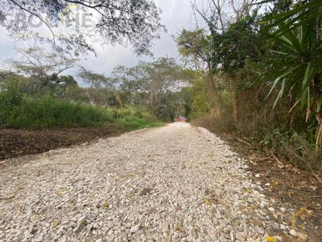 TERRENO EN VENTA EN LA ESTANZUELA VERACRUZ