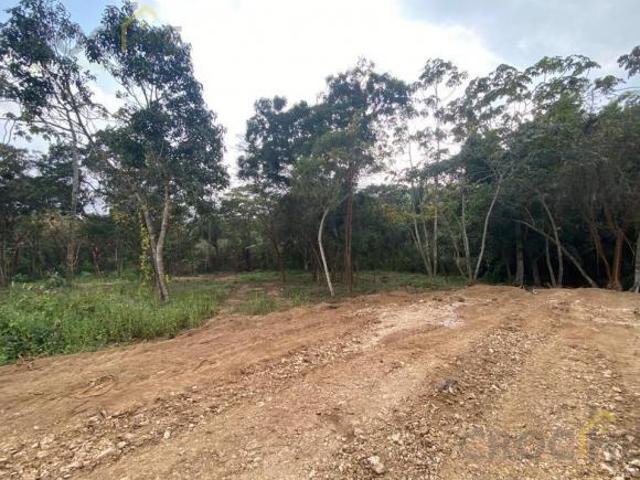 TERRENO EN VENTA EN LA ESTANZUELA VERACRUZ