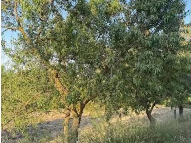 Terreno en venta en Terra Alta, Catalunya