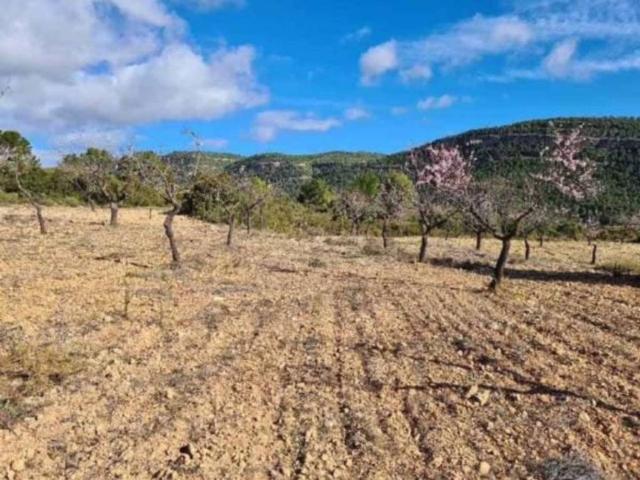 Terreno en venta en la Costera, Valencia