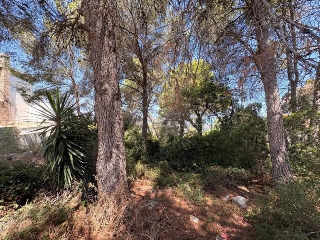 Terreno en venta en la Safor, Valencia