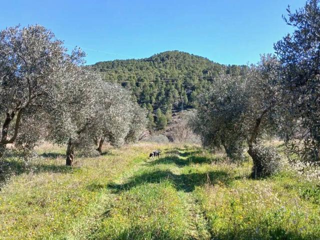Terreno en venta en Matarraña / Matarranya, La Fresneda
