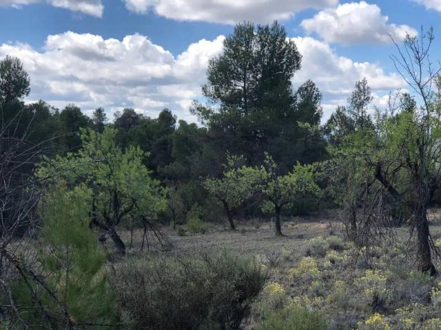 Terreno en venta en Matarraña / Matarranya, La Fresneda