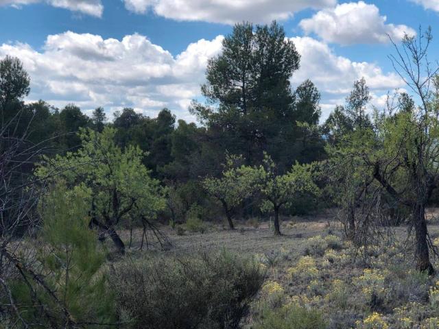 Terreno en venta en Matarraña / Matarranya, La Fresneda
