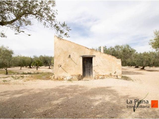 Terreno en venta en Montsià, Catalunya