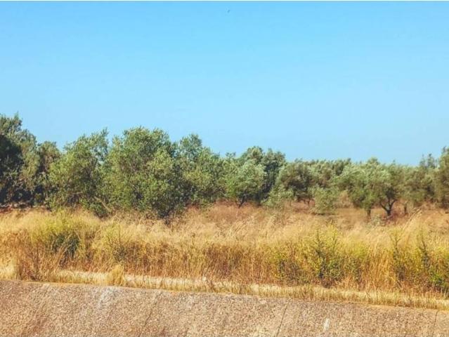 Terreno en venta en Montsià, Catalunya