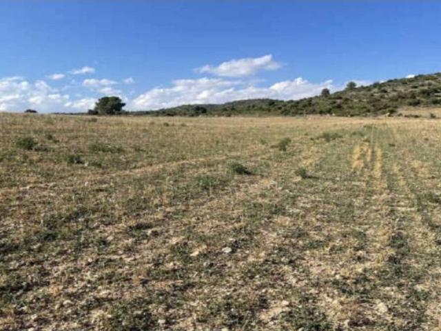 Terreno en venta en Bajo Aragón, Aragón