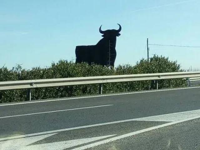 Terreno en venta en La Gineta, Castilla-La Mancha
