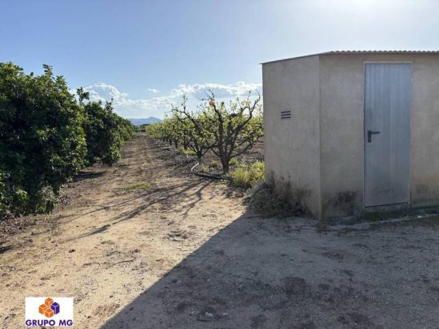 Terreno en venta en la Costera, Valencia