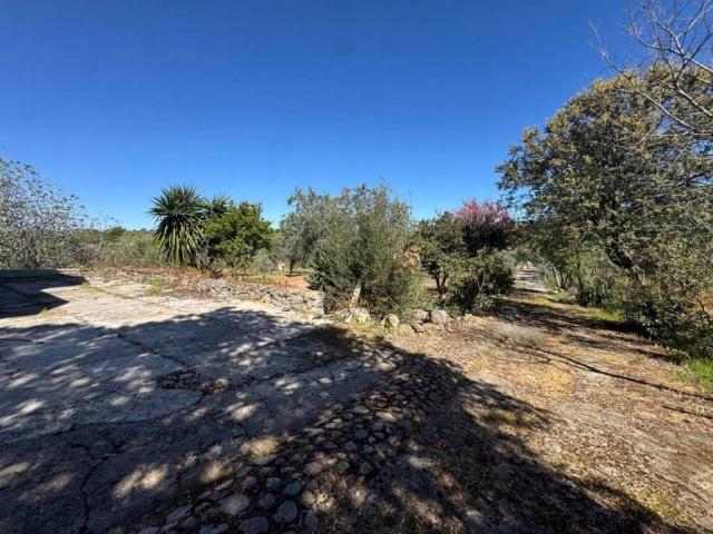 Terreno en venta en La Granjuela, Andalucía