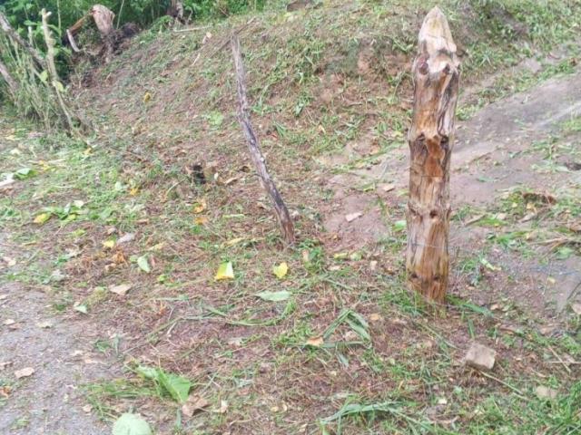 Terreno en venta en La Guanota, Municipio Caripe