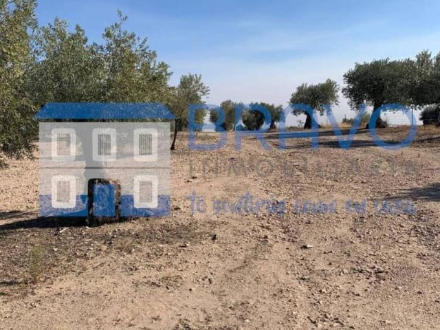 Terreno en venta en La Haba, Extremadura