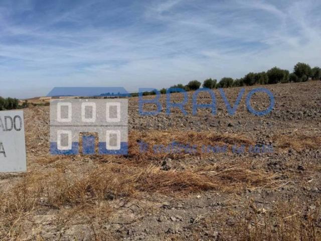 Terreno en venta en La Haba, Extremadura