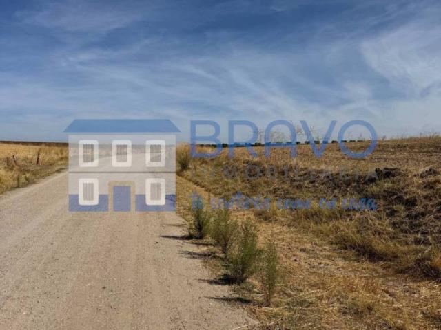 Terreno en venta en La Haba, Extremadura