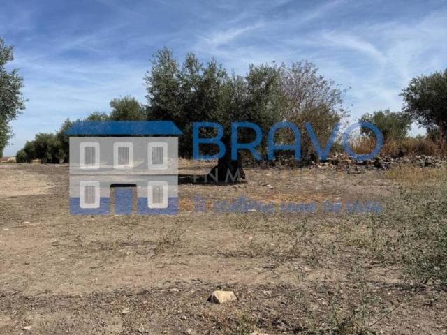 Terreno en venta en La Haba, Extremadura