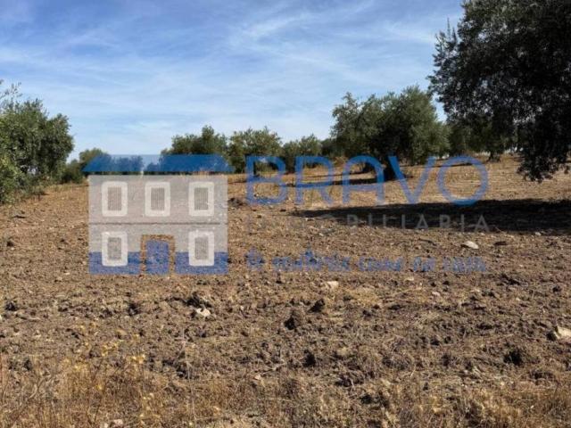 Terreno en venta en La Haba, Extremadura