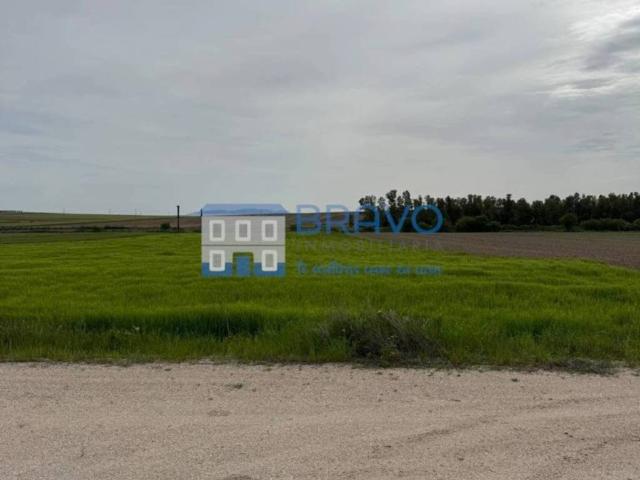 Terreno en venta en La Haba, Extremadura