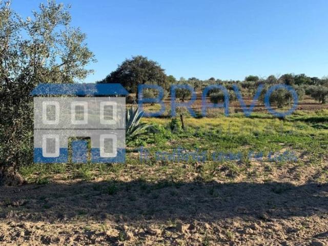 Terreno en venta en La Haba, Extremadura